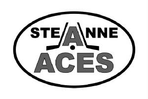 acesgreylogo.jpg