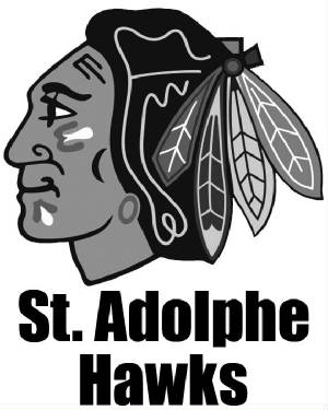 stadolphehawksgrey.jpg